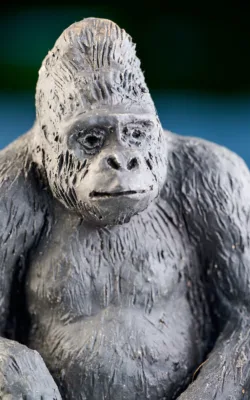 Gorillas by Damian Curtain