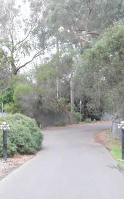 Grand Entrance (3) by David Doyle