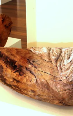 "GRAVITATION" by Ilona Herreiner