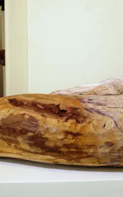 "GRAVITATION" by Ilona Herreiner