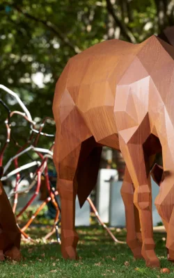 Grazing and foal by Matt Hill