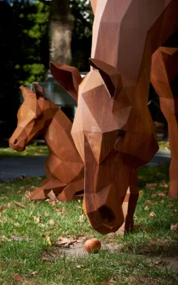 Grazing and foal by Matt Hill