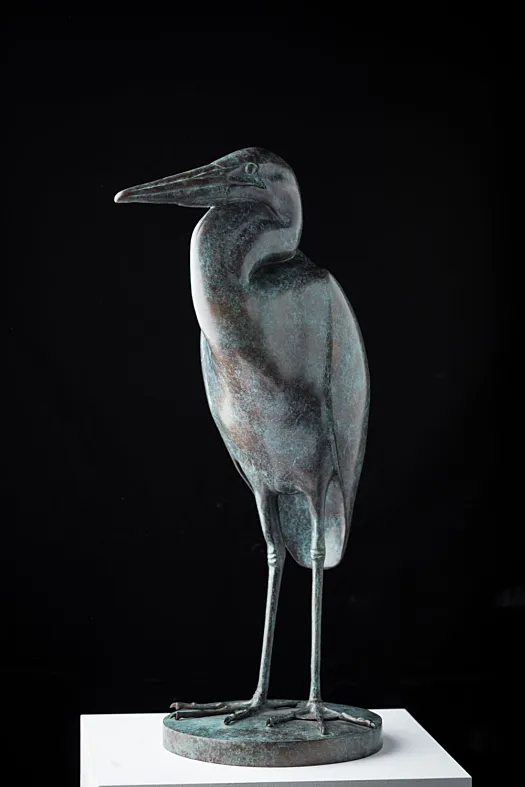 Great Blue Heron by Lucy McEachern