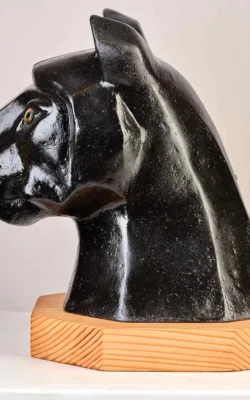 GRIOT by Anne Anderson