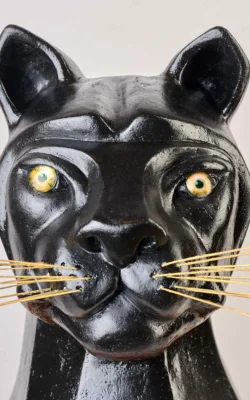 GRIOT by Anne Anderson