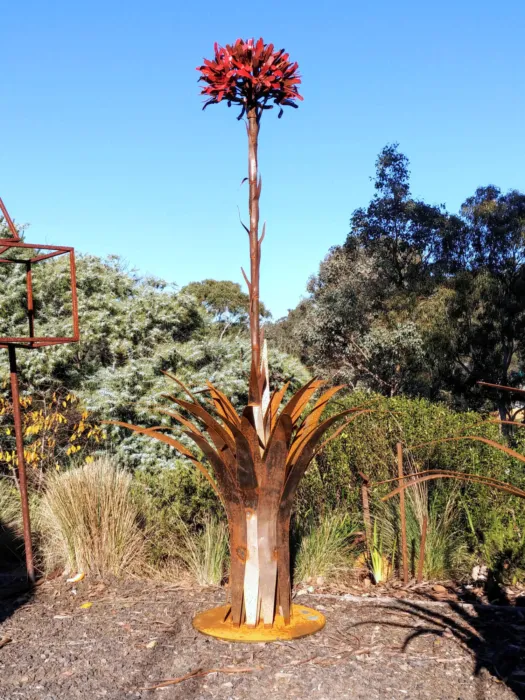 Gymea Lily by Melanie Rayski-Mati