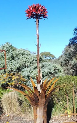 Gymea Lily by Melanie Rayski-Mati
