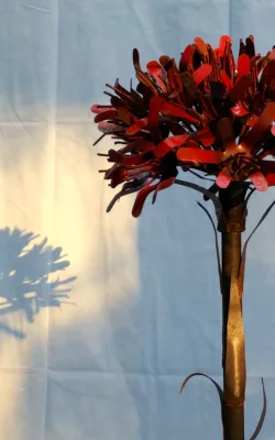 Gymea Lily by Melanie Rayski-Mati