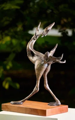 Happy Dance by Aukje Van Vark