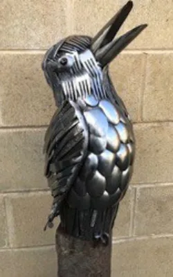 Happy Jack by Lawrence Marshall