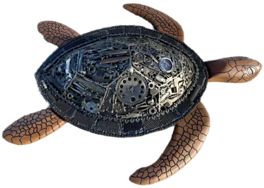 Hard shell by Damien Keirl