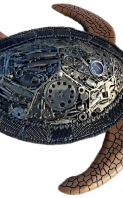 Hard shell by Damien Keirl