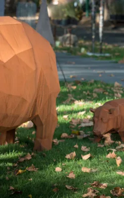 Harry and Co by Matt Hill