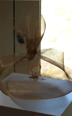 "Surprize" by Jackie Mackinnon