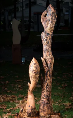 Heliotropism by Shlomit Moria