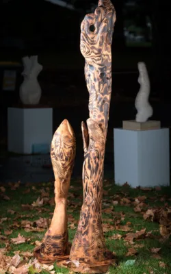 Heliotropism by Shlomit Moria