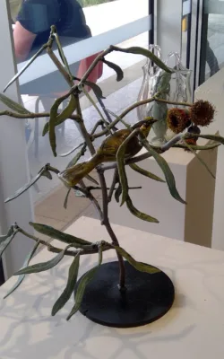 Helmeted Honeyeater on a branch by Graeme Hardidge