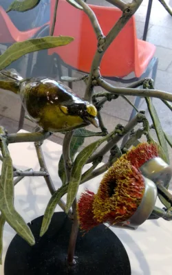 Helmeted Honeyeater on a branch by Graeme Hardidge