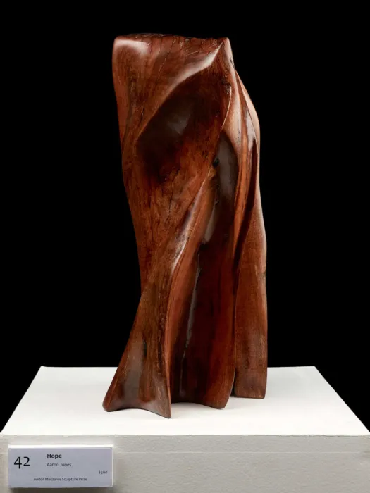 Hope by Aaron Jones