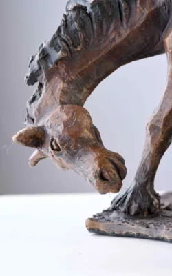 Horsing around by Aukje Van Vark