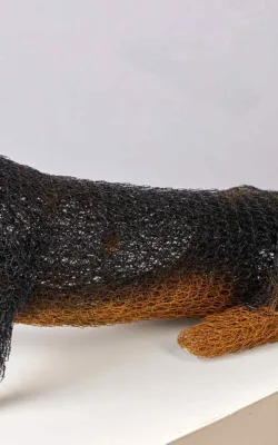 Hotdog by Vicki Combridge