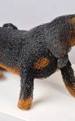 Hotdog by Vicki Combridge