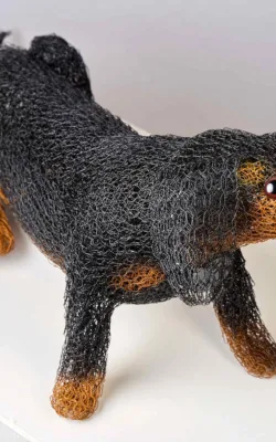 Hotdog by Vicki Combridge