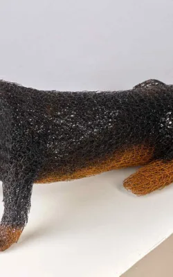 Hotdog by Vicki Combridge