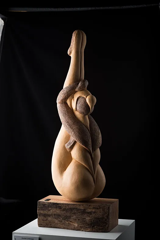 Human Landscape by Anne Anderson