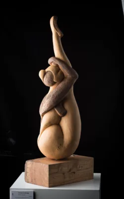 Human Landscape by Anne Anderson