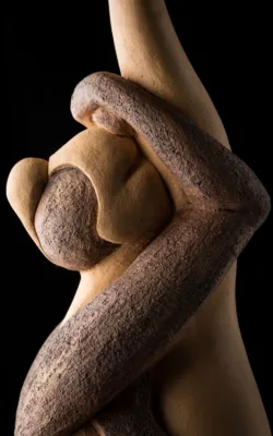 Human Landscape by Anne Anderson
