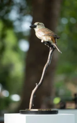 Iconic by Jake Mikoda