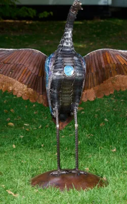 Iron Brolga by Damien Keirl