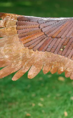 Iron Brolga by Damien Keirl