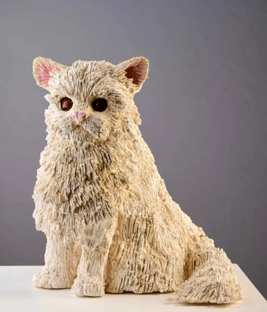 I've got attitude by Heather Wilson