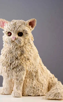 I've got attitude by Heather Wilson