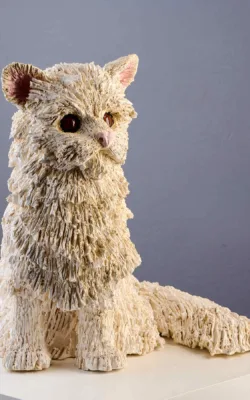 I've got attitude by Heather Wilson