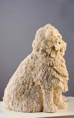 I've got attitude by Heather Wilson