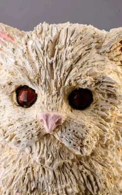 I've got attitude by Heather Wilson