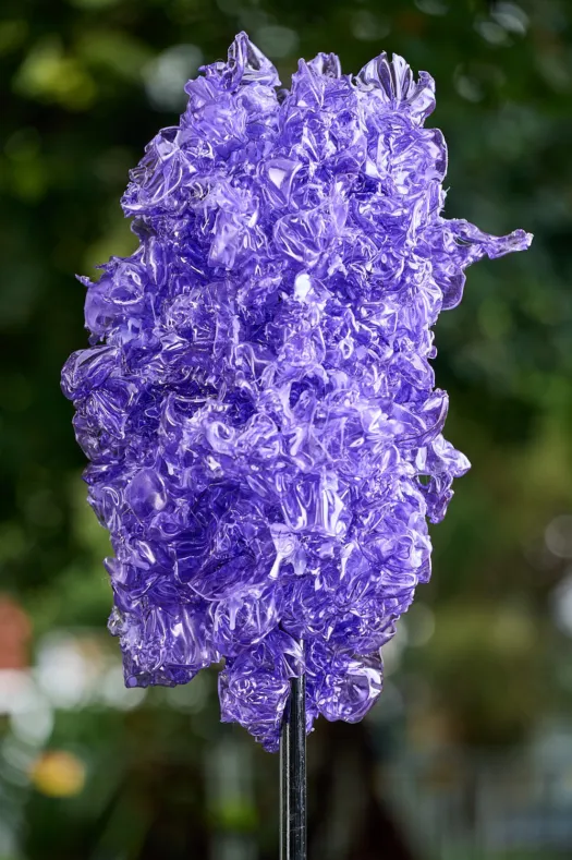 Jacaranda by Denise Honan