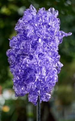 Jacaranda by Denise Honan