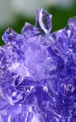 Jacaranda by Denise Honan