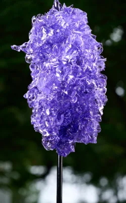 Jacaranda by Denise Honan