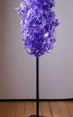 Jacaranda by Denise Honan