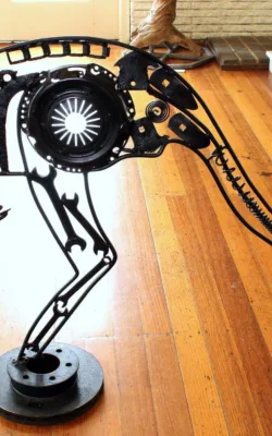 Kangaroo by Graeme Hardidge