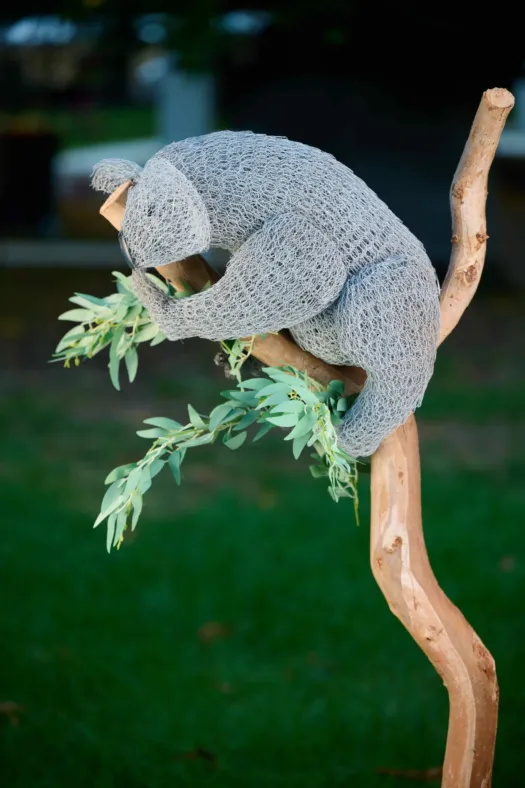 Kazza Koala by Vicki Combridge