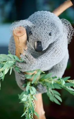 Kazza Koala by Vicki Combridge