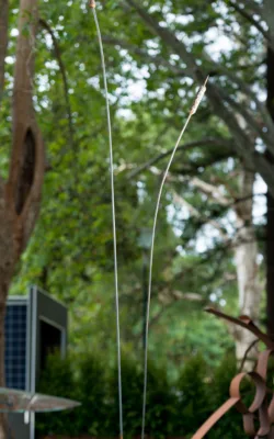 Kinetic Wren by Gavin Roberts