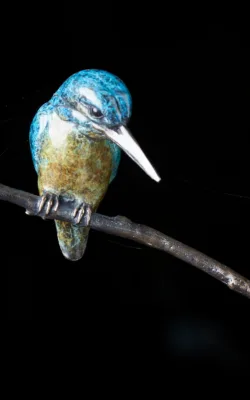 Kingfisher by Jake Mikoda