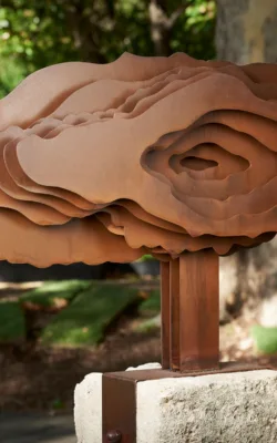 Knot by Helen Neyland